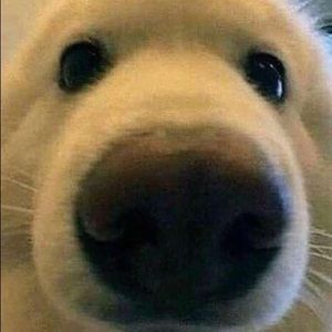 Meet your Posher, Zach